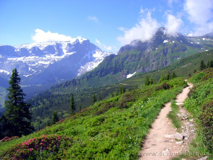 MW08_10.JPG - super Panorama auf dem Weg zur Lindauer Hütte